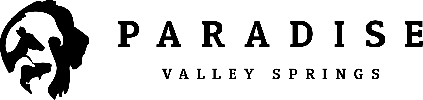 Paradise Valley Logo