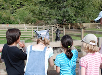Group Visits